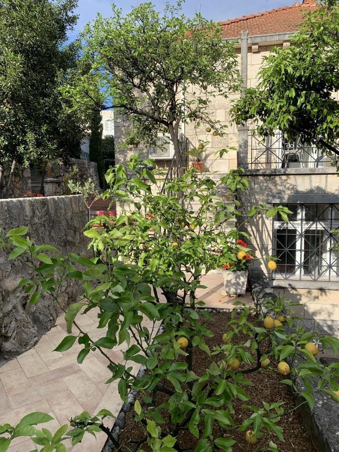 Villa Arancia Dubrovnik Exterior foto